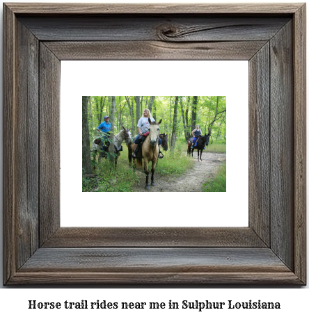 horse trail rides near me in Sulphur, Louisiana